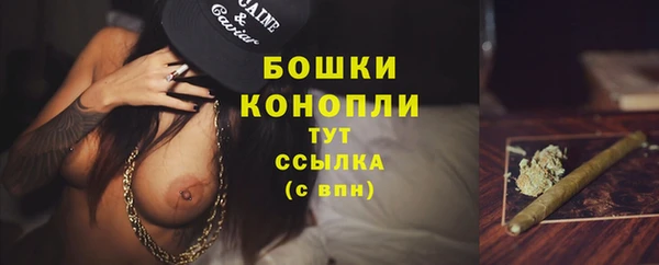 твердый Балахна