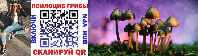 Галлюциногенные грибы прущие грибы Мезень